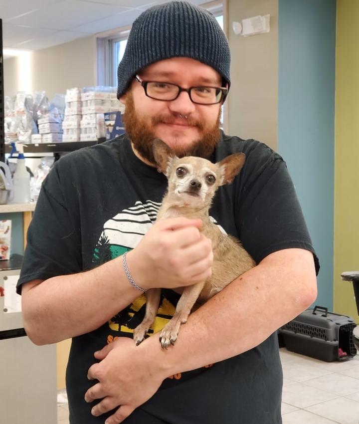 Experienced Veterinarians Animal Hospital in Fishers